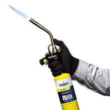 Bernzomatic TS8000 - High Intensity Trigger Start Torch - Resin Colors 